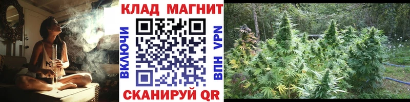 Где купить наркотики Ликино-Дулёво Кокаин  Alpha-PVP  ГАШИШ 