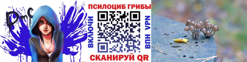 Галлюциногенные грибы Psilocybine cubensis  наркота  Ликино-Дулёво 
